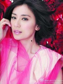 中国出柜女明星,盘点中国娱乐圈出柜女明星的蜕变之路