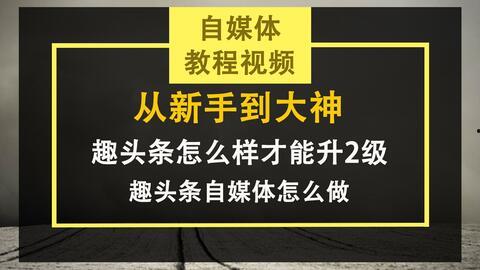 头条官方自媒体教程