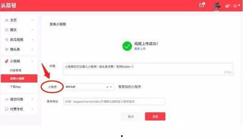 头条直播怎么打开小程序,头条直播教你如何快速打开小程序