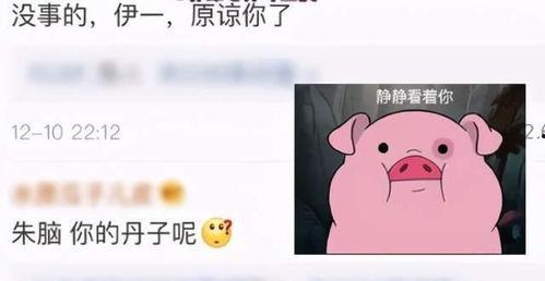 520的快乐就是吃瓜,快乐吃瓜，共享甜蜜时光