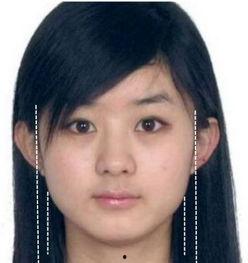 轮廓明星,闪耀舞台的璀璨之星